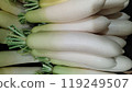 Fresh green radishes lined up at a fruit and vegetable store_1707 119249507