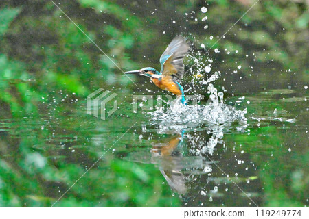 Bathing in a dark park 119249774