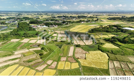 Autumn rice terrace scenery aerial view 119249831