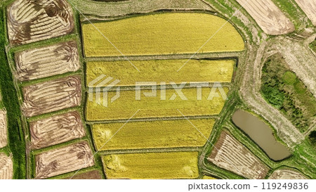 Autumn rice terrace scenery aerial view Autumn rice terrace scenery aerial view 119249836