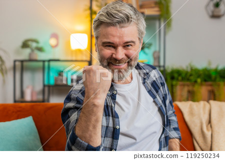 Happy Caucasian mature man watching TV shouting, celebrating success winning goal achievement 119250234