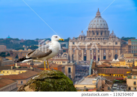 透過聖天使城堡的海鷗眺望，聖天使城堡是義大利羅馬梵蒂岡城的世界遺產聖彼得大教堂 119250407