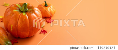 pumpkin harvest autumn maple leaves thanksgiving halloween pumpkin maple autumn ハロウィーン 119250421