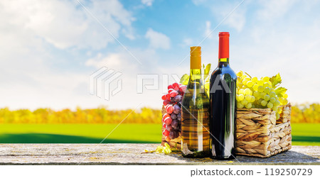 Bottles of red and white wine 119250729