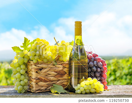 Bottle of white wine and basket of grape 119250730