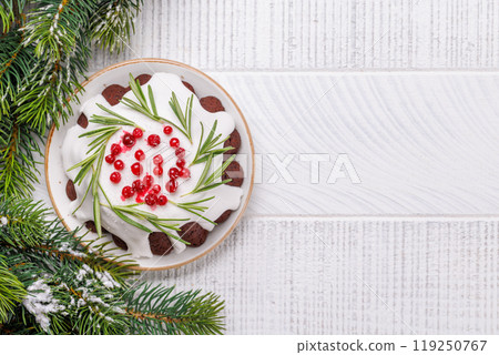 Festive Christmas cake decorated with seasonal designs 119250767