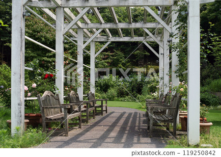 Roses in a Western-style garden 119250842