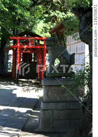 神社內的守護犬和鳥居 神社內的守護犬和鳥居 119250871