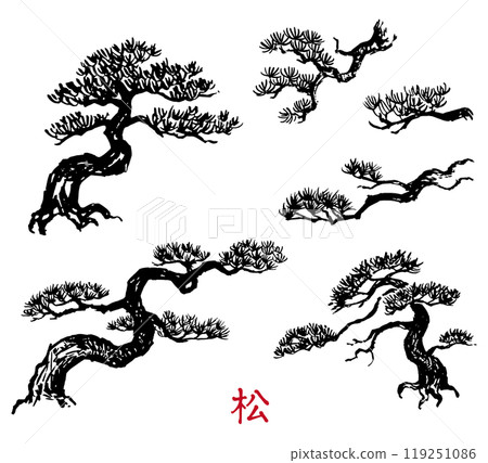 Pine tree drawn with a brush Pine tree drawn with a brush 119251086