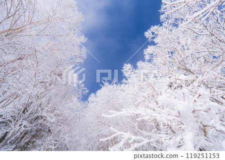 [白霜的材質]白與藍、白霜與藍天的世界[長野縣] 119251153