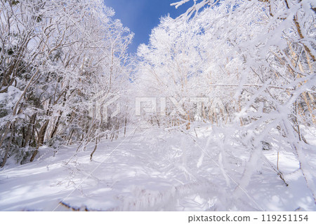 [白霜的材質]白與藍、白霜與藍天的世界[長野縣] 119251154
