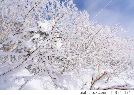 [白霜的材質]白與藍、白霜與藍天的世界[長野縣] 119251155