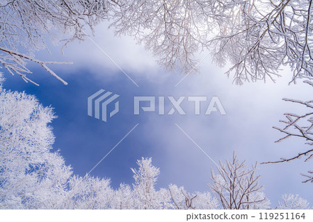 [白霜的材質]白與藍、白霜與藍天的世界[長野縣] 119251164