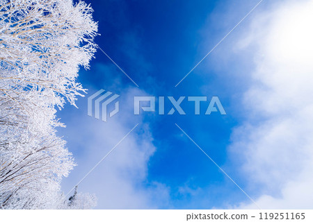 [白霜的材質]白與藍、白霜與藍天的世界[長野縣] 119251165