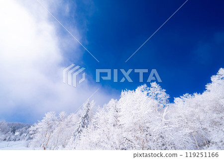 [白霜的材質]白與藍、白霜與藍天的世界[長野縣] 119251166
