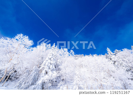 [Material of hoarfrost] A world of white and blue, hoarfrost and blue sky [Nagano Prefecture] 119251167