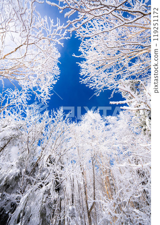 [白霜的材質]白與藍、白霜與藍天的世界[長野縣] 119251172