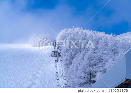 [Material of hoarfrost] A world of white and blue, hoarfrost and blue sky [Nagano Prefecture] 119251176