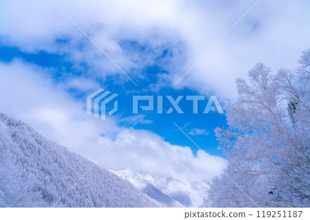 [Material of hoarfrost] A world of white and blue, hoarfrost and blue sky [Nagano Prefecture] 119251187