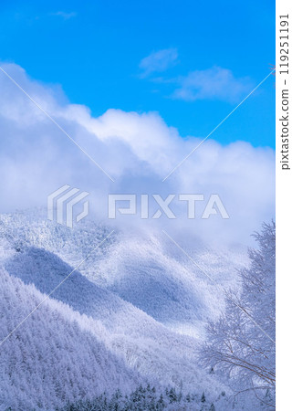 [Material of hoarfrost] A world of white and blue, hoarfrost and blue sky [Nagano Prefecture] 119251191