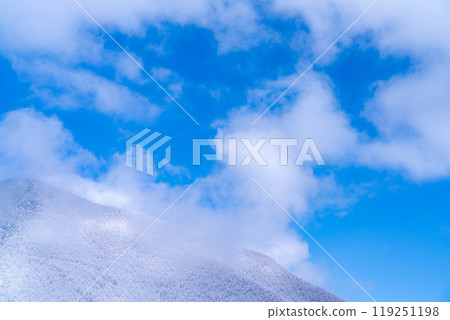 [Material of hoarfrost] A world of white and blue, hoarfrost and blue sky [Nagano Prefecture] 119251198