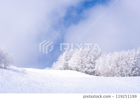 [Material of hoarfrost] A world of white and blue, hoarfrost and blue sky [Nagano Prefecture] 119251199