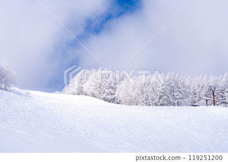 [白霜的材質]白與藍、白霜與藍天的世界[長野縣] 119251200