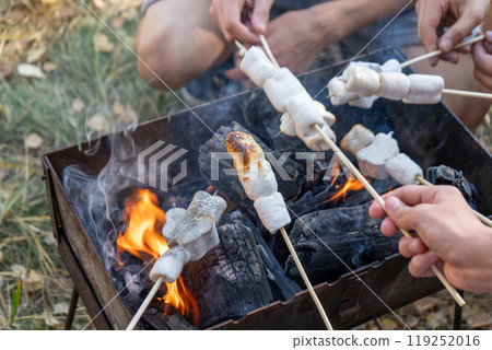 Roasting marshmallows over a campfire while camping. Hands of friends at a campsite over a barbecue. 119252016