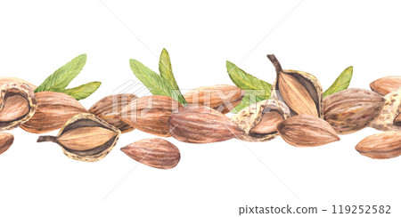 Almond nuts, tree branch with leaves and flowers seamless border. Shelled and unshelled nuts horizontal pattern. Food label design. Watercolor illustration hand drawn Clipart Isolated from background Almond nuts, tree branch with leaves and flowers seamless border. Shelled and unshelled nuts horizontal pattern. Food label design. Watercolor illustration hand drawn Clipart Isolated from background 119252582