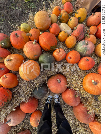 Person holding a large orange pumpkin by the stem 119252753