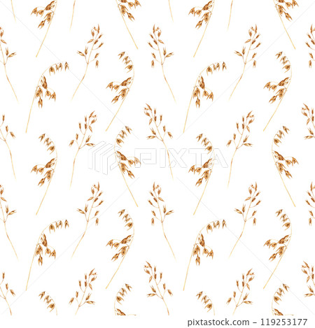 Watercolor seamless pattern with oat plants, edible starchy grains, domesticated cereal grass. Hand drawn repeat pattern isolated on white background for wrapping wallpaper fabric textile 119253177