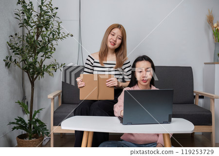 Young Female Friends Studying Online and Doing Homework Together in a Modern Home Setting 119253729