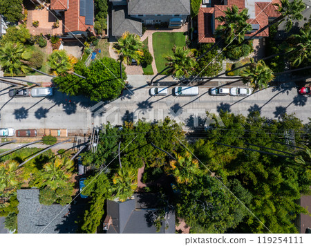 Aerial perspective of a Los Angeles street lined with palm trees, showcasing diverse architecture and parked cars, with lush greenery throughout. 119254111