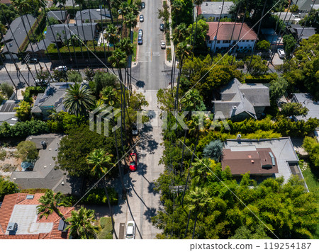 Aerial perspective of a Los Angeles neighborhood featuring tree lined streets, single family homes, and iconic tall palm trees casting shadows. 119254187