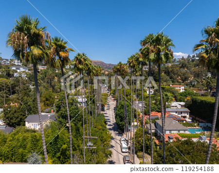A street in Hollywood, Los Angeles, features tall palm trees and residential homes, with the Hollywood Hills visible under a clear blue sky. A street in Hollywood, Los Angeles, features tall palm trees and residential homes, with the Hollywood Hills visible under a clear blue sky. 119254188