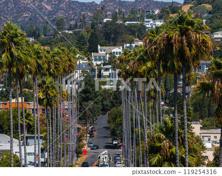 A street in Hollywood, Los Angeles, features tall palm trees and the Hollywood Hills, with luxurious homes and lush greenery under clear blue skies. A street in Hollywood, Los Angeles, features tall palm trees and the Hollywood Hills, with luxurious homes and lush greenery under clear blue skies. 119254316