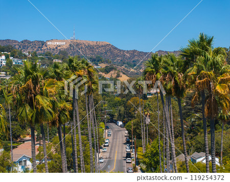 View of the Hollywood district in Los Angeles, featuring the Hollywood Sign on the hills. Tall palm trees line a residential street under a clear blue sky. 119254372