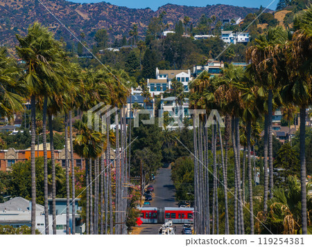 A vibrant street in Hollywood, Los Angeles, features tall palm trees and the Hollywood Hills. A red bus adds color under a clear blue sky. A vibrant street in Hollywood, Los Angeles, features tall palm trees and the Hollywood Hills. A red bus adds color under a clear blue sky. 119254381