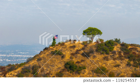 A hilltop in Los Angeles features dry vegetation, an American flag, and a lone tree, with the city's urban sprawl faintly visible in the background. A hilltop in Los Angeles features dry vegetation, an American flag, and a lone tree, with the city's urban sprawl faintly visible in the background. 119254557