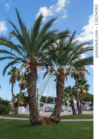 A pair of tall palm trees stand in the foreground with a Ferris wheel visible through the fronds, set against a clear sky in beautiful Sardinia. A pair of tall palm trees stand in the foreground with a Ferris wheel visible through the fronds, set against a clear sky in beautiful Sardinia. 119254563