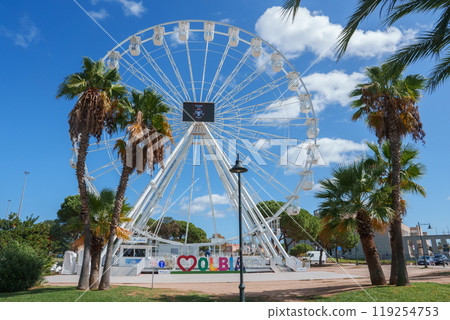 A vibrant Ferris wheel set against a clear blue sky in Olbia, Sardinia, Italy, surrounded by lush palm trees, blending modern leisure with natural beauty. 119254753
