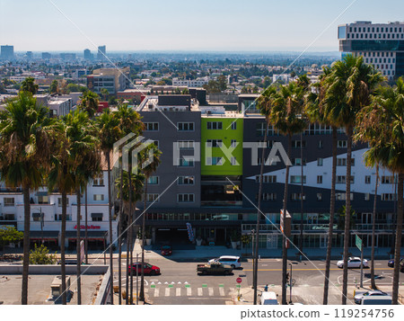 Tall palm trees frame modern buildings with a lime green facade in Hollywood, Los Angeles. The cityscape extends under a clear, sunny sky. 119254756