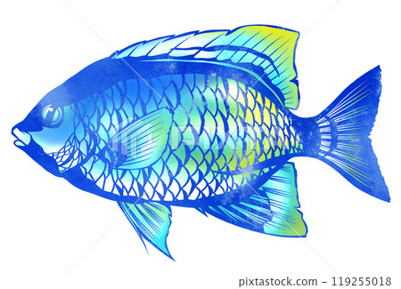 可愛的魚石垣雀鯛的剪圖插圖 119255018