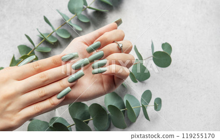 Elegant green manicure with long nails surrounded by eucalyptus leaves in a minimalist setting 119255170