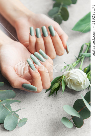 Elegant hands with long green nails surrounded by greenery and a white rose on a neutral surface Elegant hands with long green nails surrounded by greenery and a white rose on a neutral surface 119255173