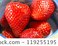 Fresh strawberries 119255195