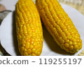corn  119255197