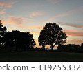 Beautiful sunset in the park 119255332
