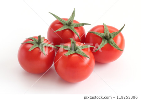 白色背景上的迷笛番茄 119255396
