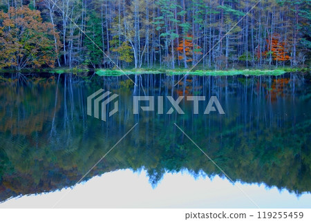 秋天的池塘映照出的畫作世界 秋天的池塘映照出的畫作世界 119255459